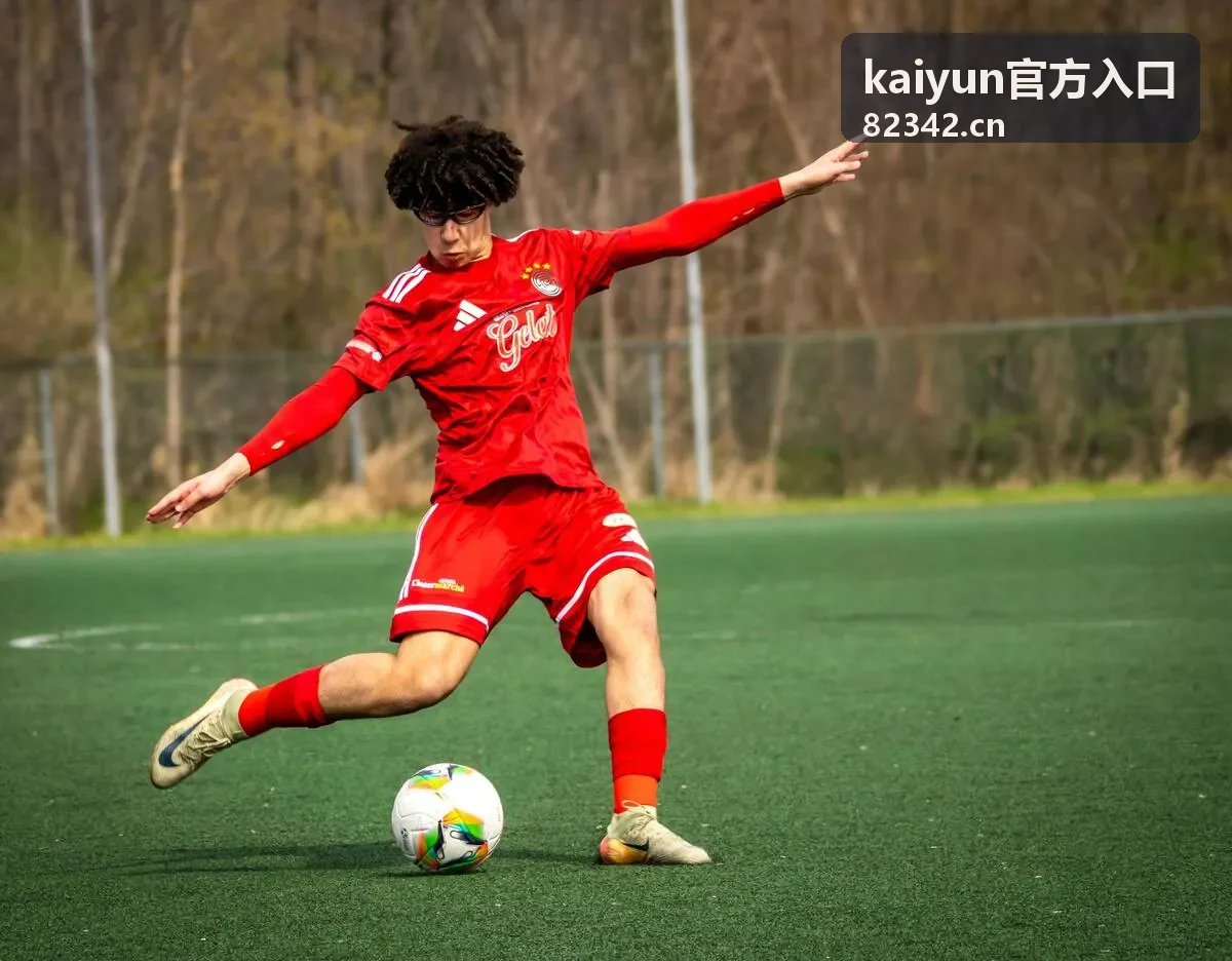 kaiyun官方入口 入口索引合集封面
