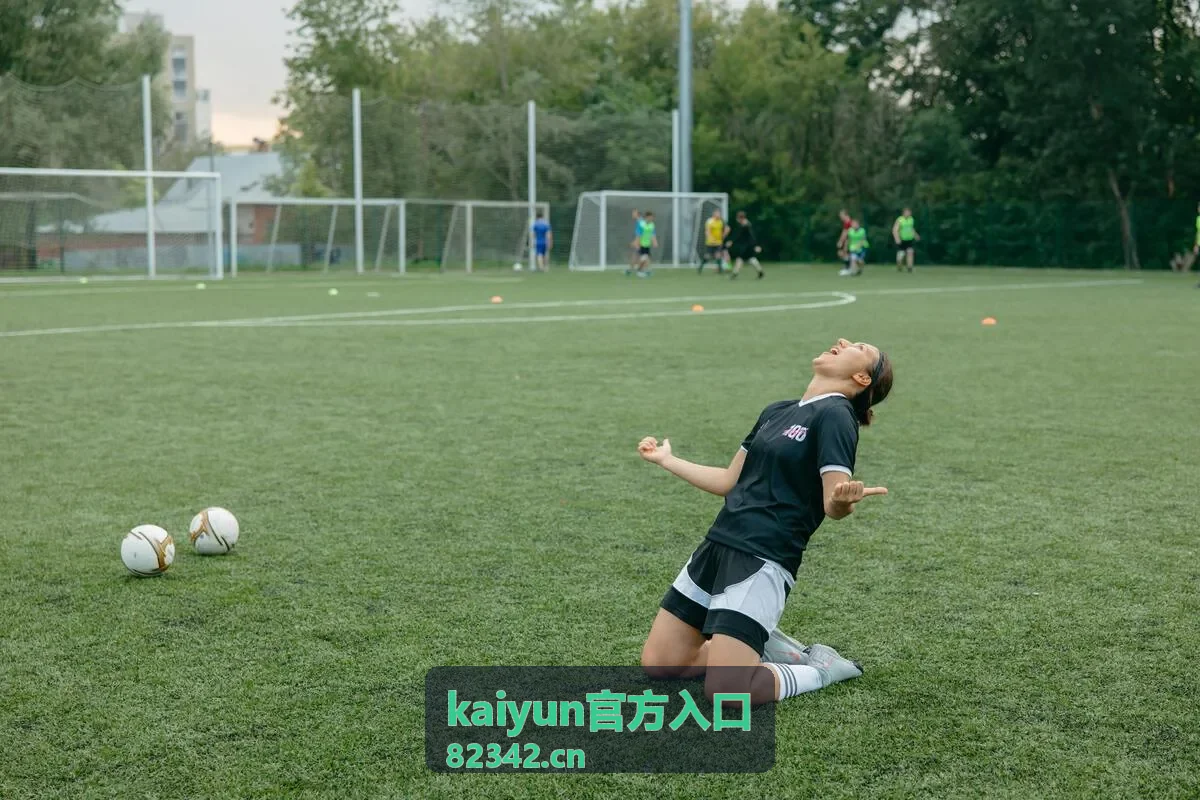 kaiyun官方入口 栏目目录合集封面