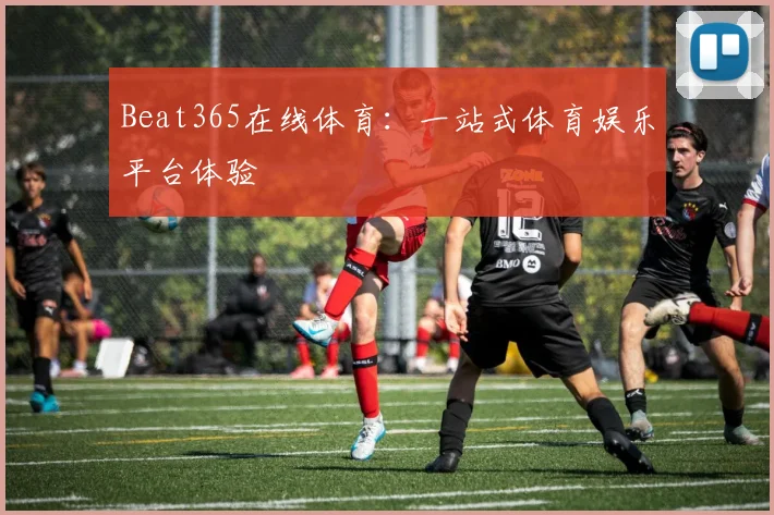 Beat365在线体育：一站式体育娱乐平台体验