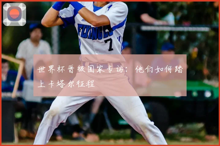 世界杯晋级国家专访：他们如何踏上卡塔尔征程