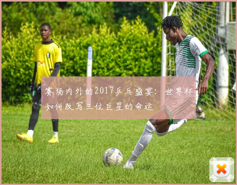 赛场内外的2017乒乓盛宴：世界杯如何改写三位巨星的命运