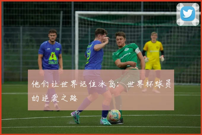 他们让世界记住冰岛：世界杯球员的逆袭之路