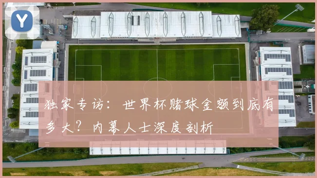 独家专访：世界杯赌球金额到底有多大？内幕人士深度剖析